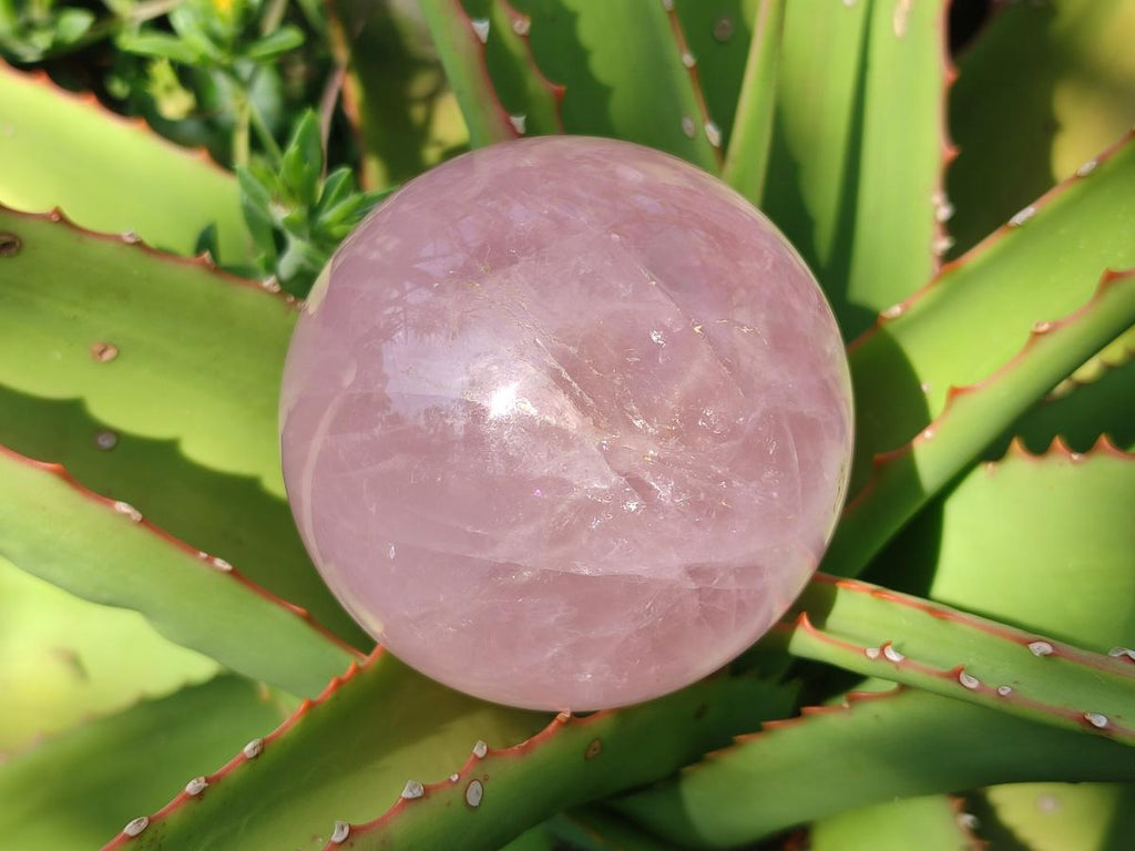 Polished Gemmy Star Rose Quartz Sphere x 1 From Ambatondrazaka, Madagascar