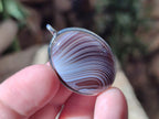 Hand Made Shashe River Agate Pendant in Display Case x 1 From Zimbabwe