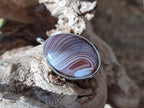 Hand Made Shashe River Agate Pendant in Display Case x 1 From Zimbabwe