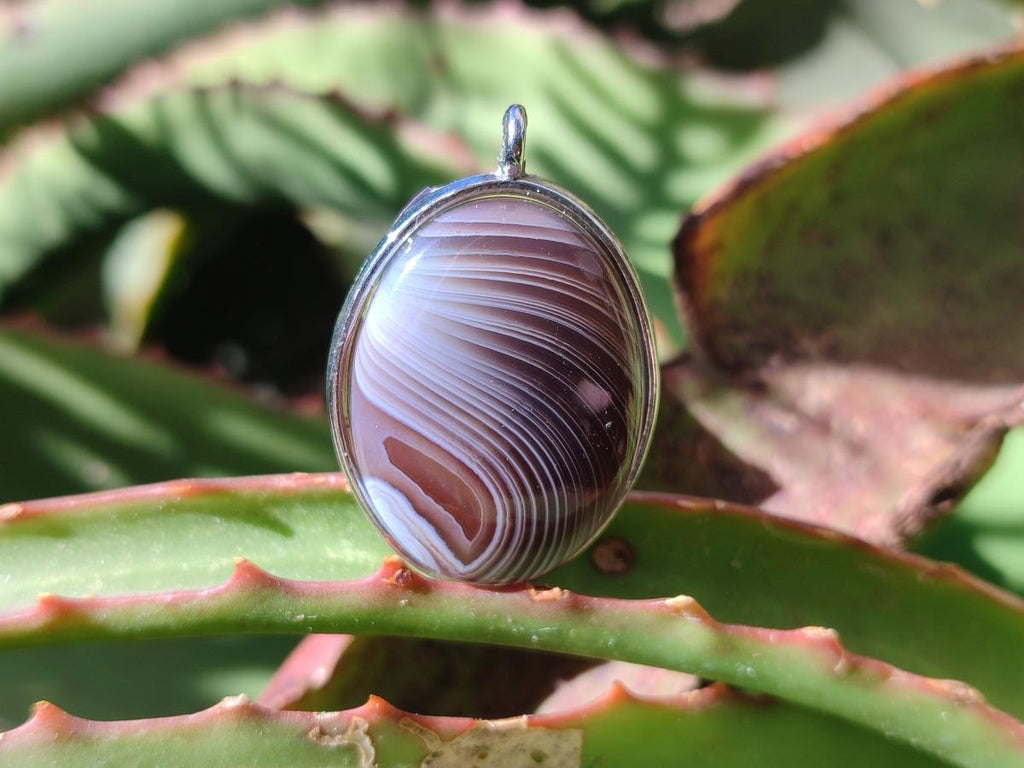 Hand Made Shashe River Agate Pendant in Display Case x 1 From Zimbabwe