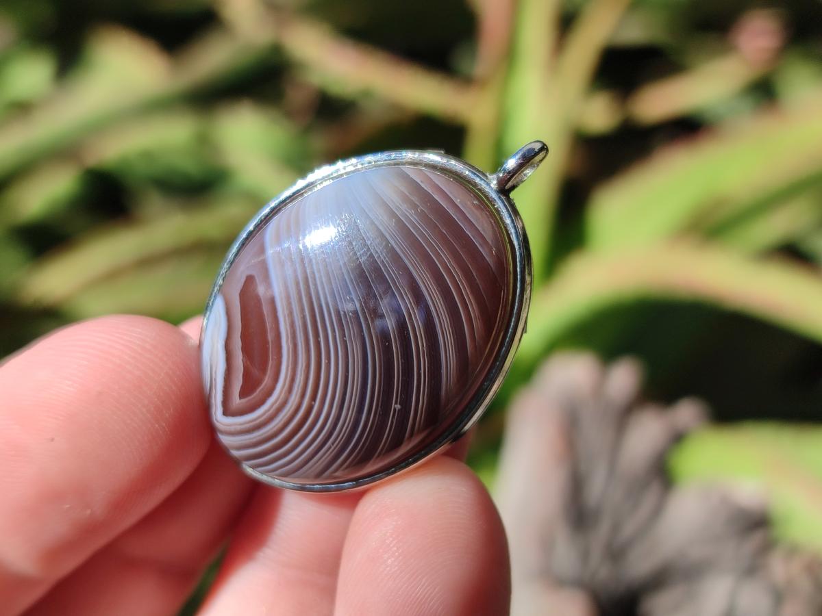 Hand Made Shashe River Agate Pendant in Display Case x 1 From Zimbabwe