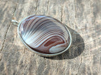 Hand Made Shashe River Agate Pendant in Display Case x 1 From Zimbabwe