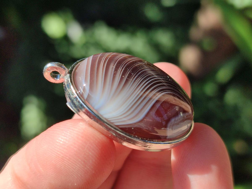 Hand Made Shashe River Agate Pendant in Display Case x 1 From Zimbabwe