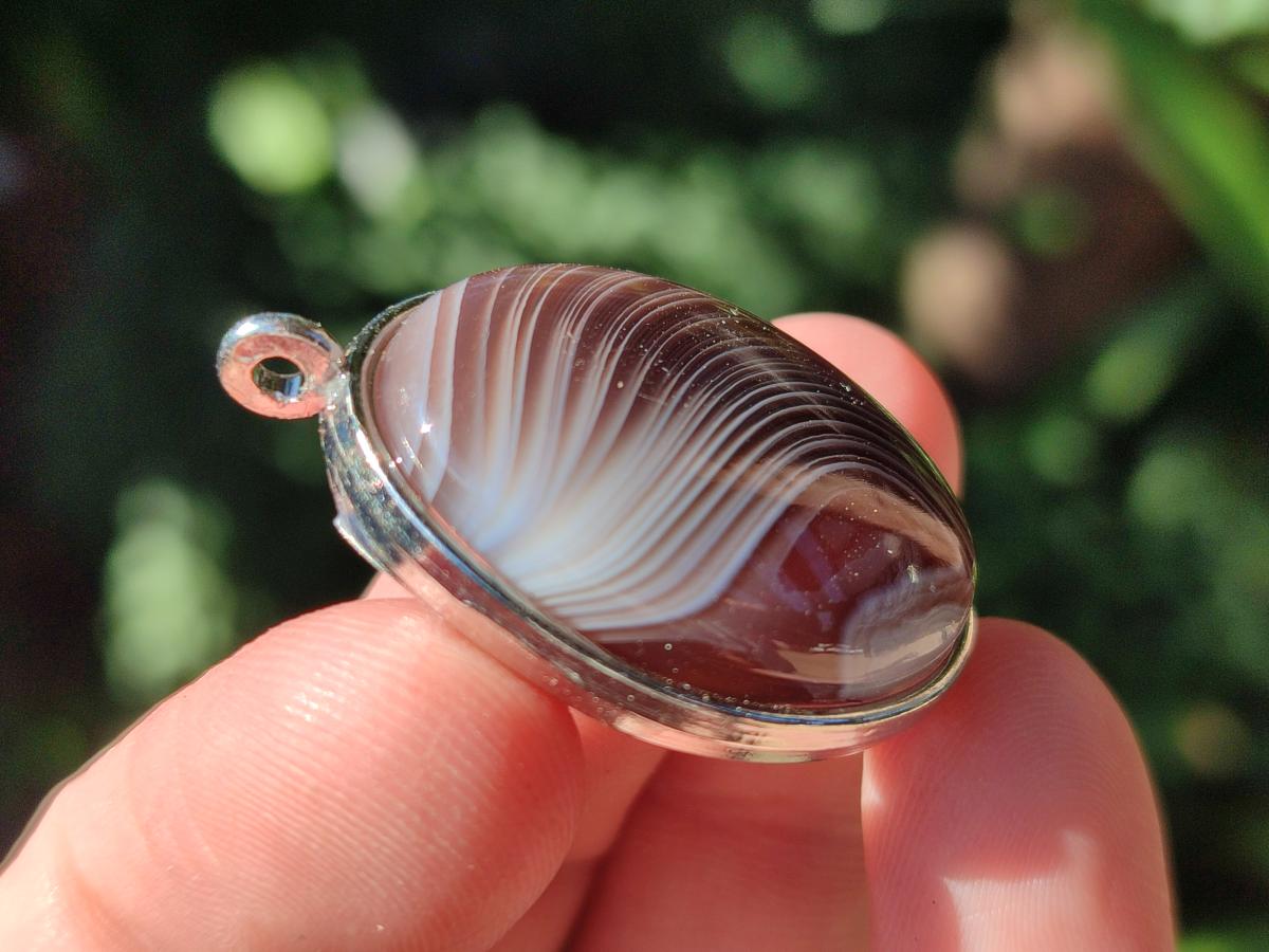 Hand Made Shashe River Agate Pendant in Display Case x 1 From Zimbabwe