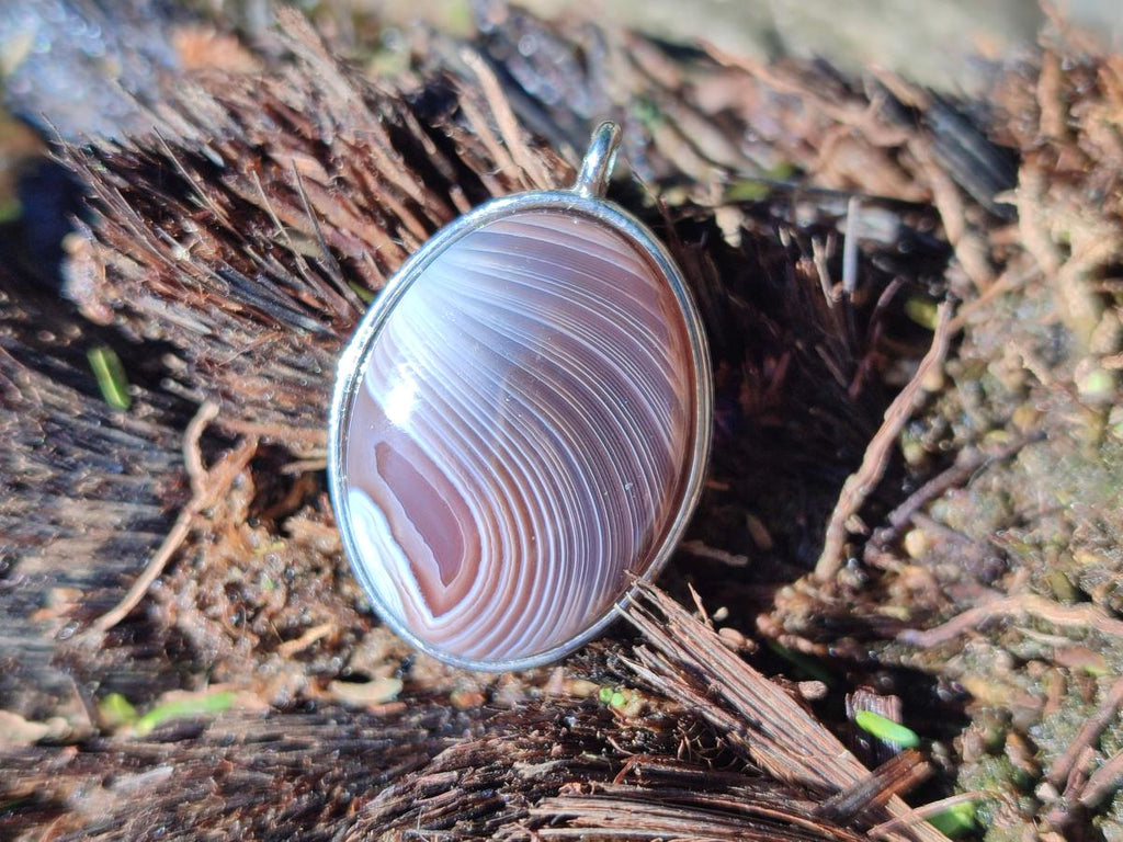 Hand Made Shashe River Agate Pendant in Display Case x 1 From Zimbabwe