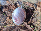 Hand Made Shashe River Agate Pendant in Display Case x 1 From Zimbabwe