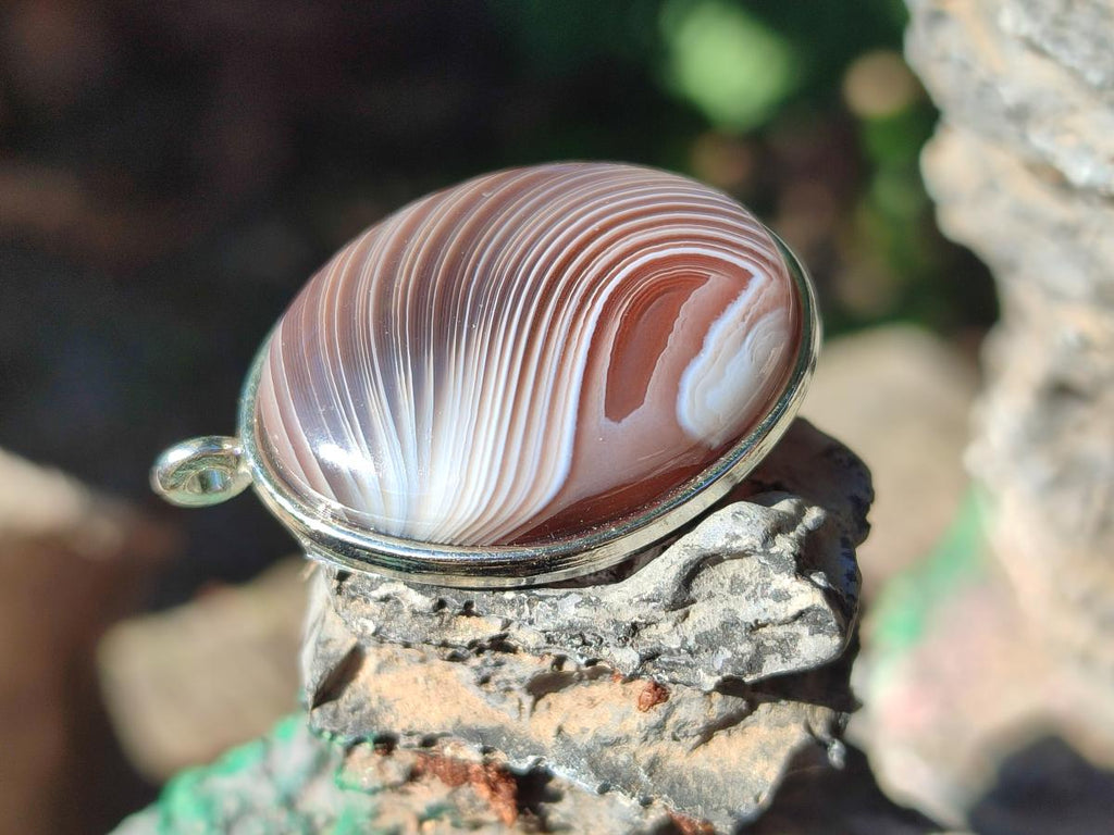 Hand Made Shashe River Agate Pendant in Display Case x 1 From Zimbabwe