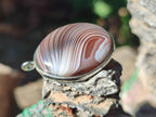 Hand Made Shashe River Agate Pendant in Display Case x 1 From Zimbabwe