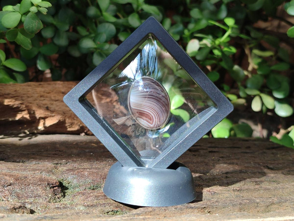 Hand Made Shashe River Agate Pendant in Display Case x 1 From Zimbabwe