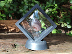 Hand Made Shashe River Agate Pendant in Display Case x 1 From Zimbabwe
