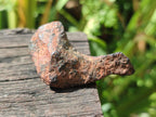 Natural Ultra Rare Small Gibeon Meteorite Specimen x 1 From Gibeon, Namibia
