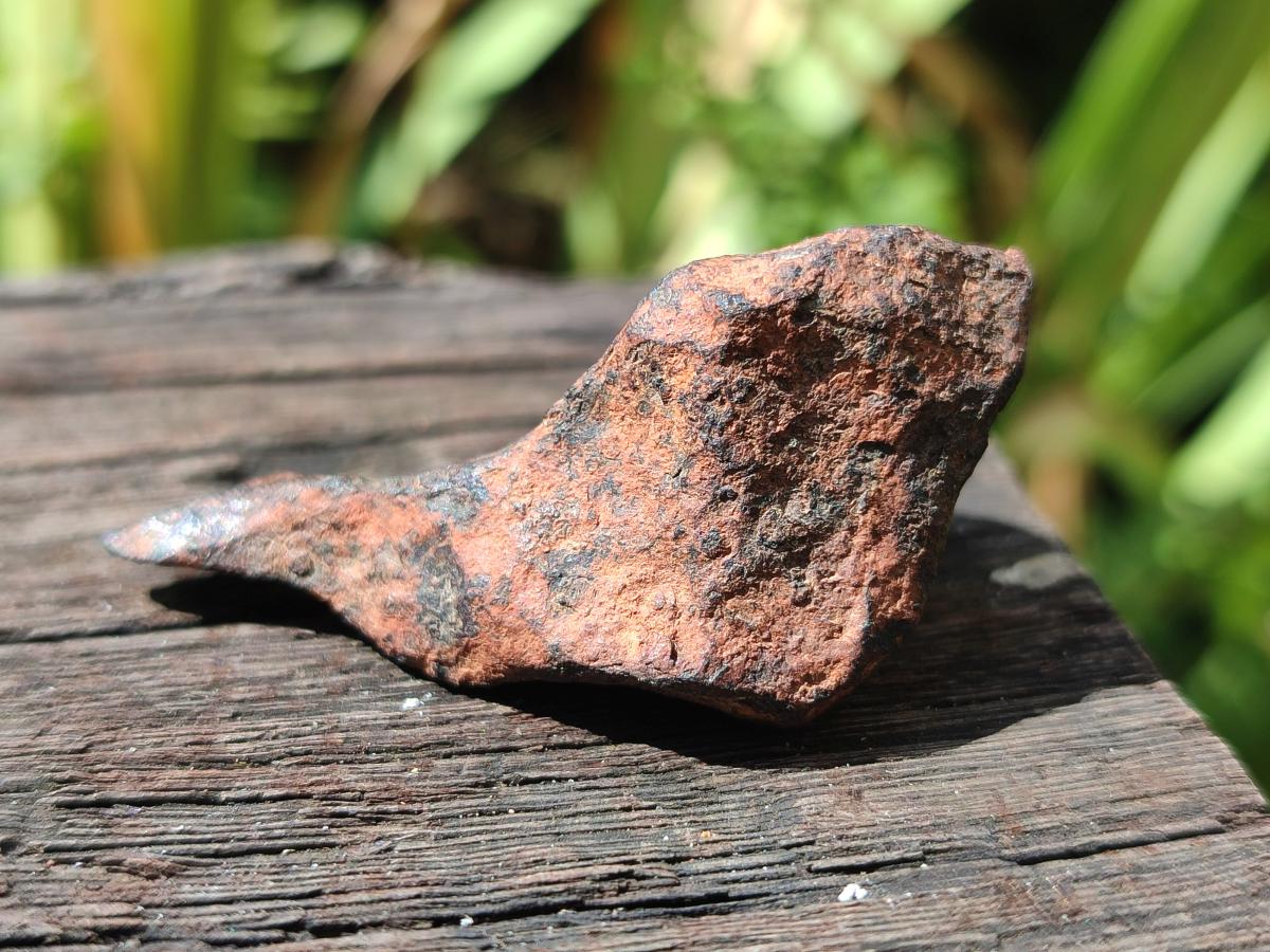 Natural Ultra Rare Small Gibeon Meteorite Specimen x 1 From Gibeon, Namibia