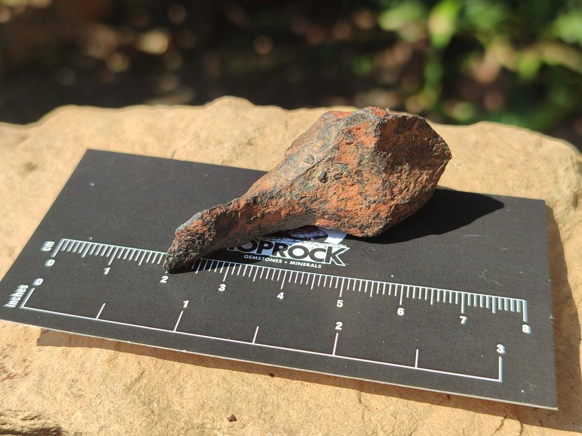 Natural Ultra Rare Small Gibeon Meteorite Specimen x 1 From Gibeon, Namibia
