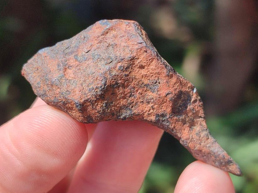 Natural Ultra Rare Small Gibeon Meteorite Specimen x 1 From Gibeon, Namibia