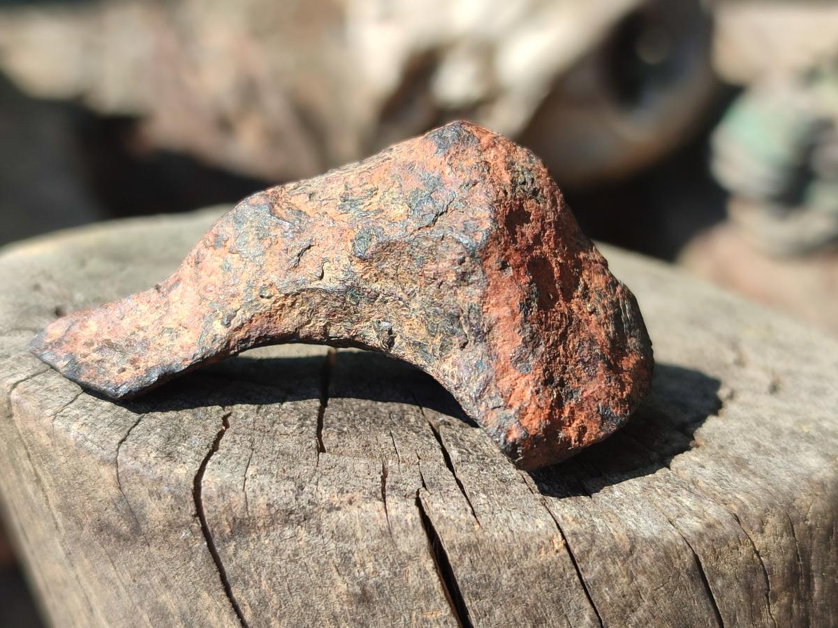 Natural Ultra Rare Small Gibeon Meteorite Specimen x 1 From Gibeon, Namibia
