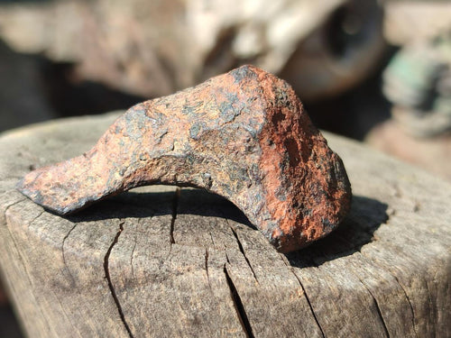 Natural Ultra Rare Small Gibeon Meteorite Specimen x 1 From Gibeon, Namibia