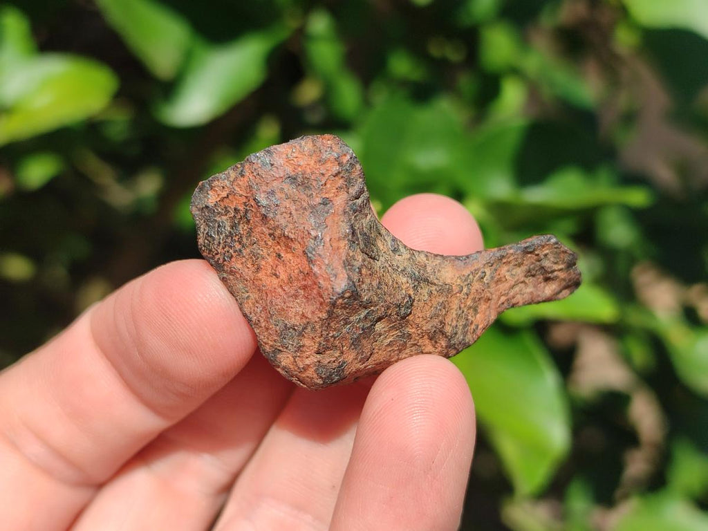 Natural Ultra Rare Small Gibeon Meteorite Specimen x 1 From Gibeon, Namibia