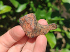 Natural Ultra Rare Small Gibeon Meteorite Specimen x 1 From Gibeon, Namibia