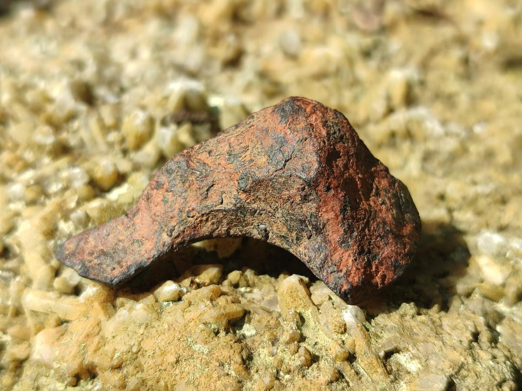 Natural Ultra Rare Small Gibeon Meteorite Specimen x 1 From Gibeon, Namibia