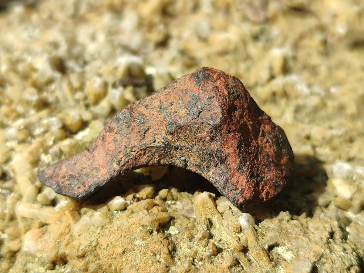 Natural Ultra Rare Small Gibeon Meteorite Specimen x 1 From Gibeon, Namibia