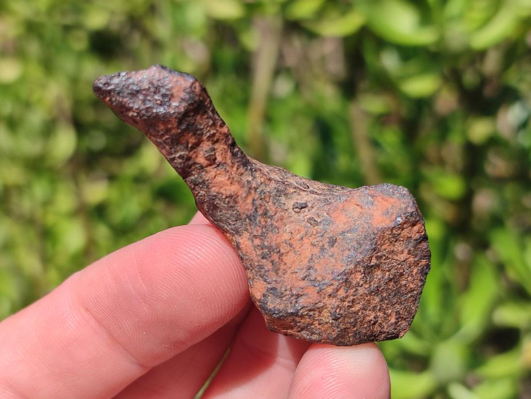 Natural Ultra Rare Small Gibeon Meteorite Specimen x 1 From Gibeon, Namibia