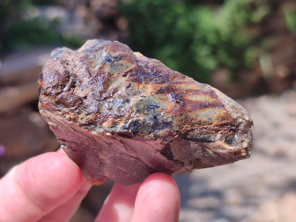 Natural Blue Burmese Amber Specimen x 1 From Burma