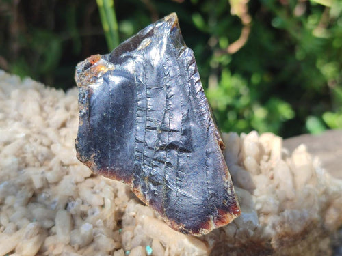 Natural Blue Burmese Amber Specimen x 1 From Burma