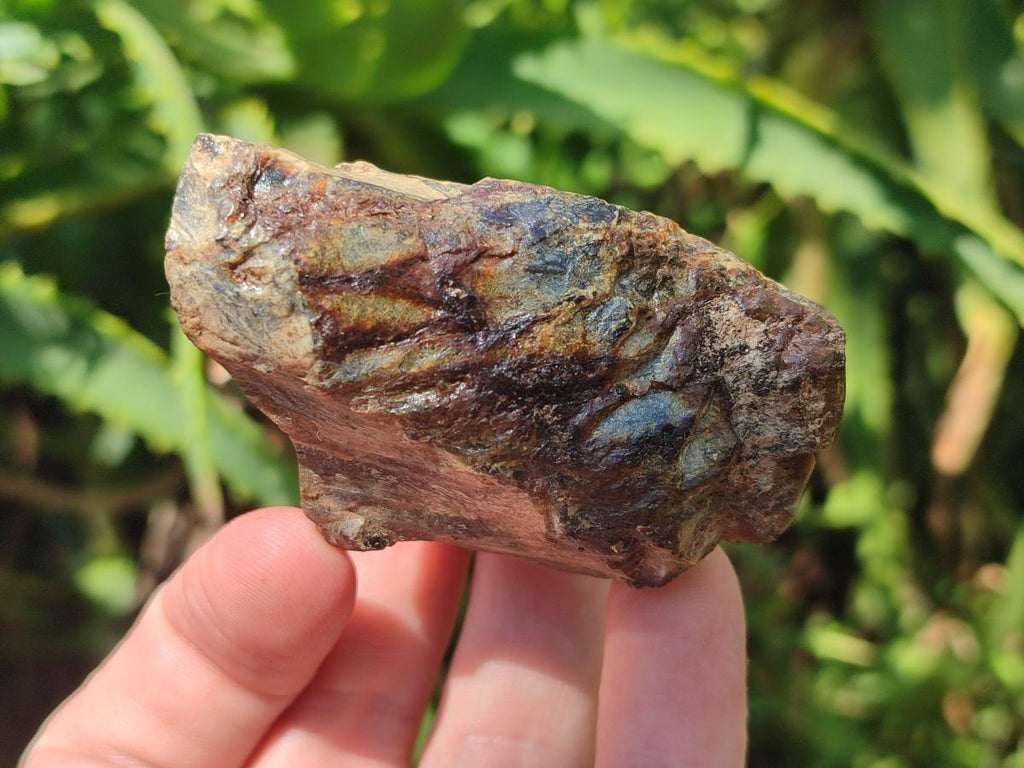 Natural Blue Burmese Amber Specimen x 1 From Burma