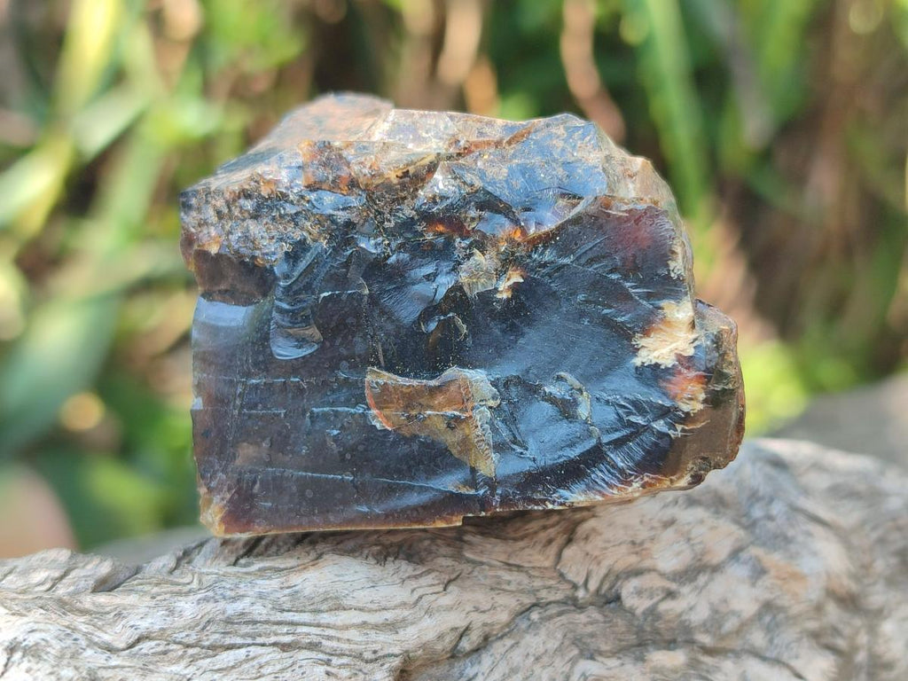 Natural Blue Burmese Amber Specimen x 1 From Burma