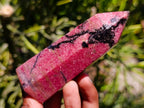 Polished Rare Red Rhodonite Display Crystal x 1 From Madagascar