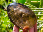 Polished Cognac Smokey Citrine Quartz Crystal Display Piece x 1 From Madagascar