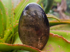 Polished Cognac Smokey Citrine Quartz Crystal Display Piece x 1 From Madagascar