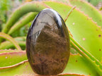 Polished Cognac Smokey Citrine Quartz Crystal Display Piece x 1 From Madagascar