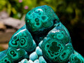 Polished Botryoidal Flower Banded Malachite Display Specimen x 1 From Kolwezi, Congo