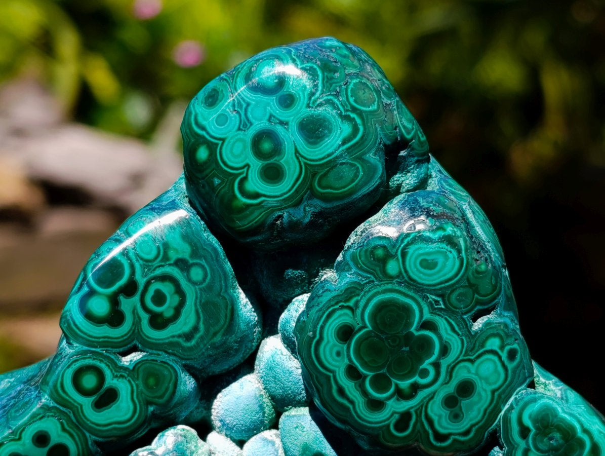 Polished Botryoidal Flower Banded Malachite Display Specimen x 1 From Kolwezi, Congo