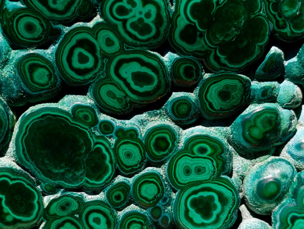 Polished Botryoidal Flower Banded Malachite Display Specimen x 1 From Kolwezi, Congo