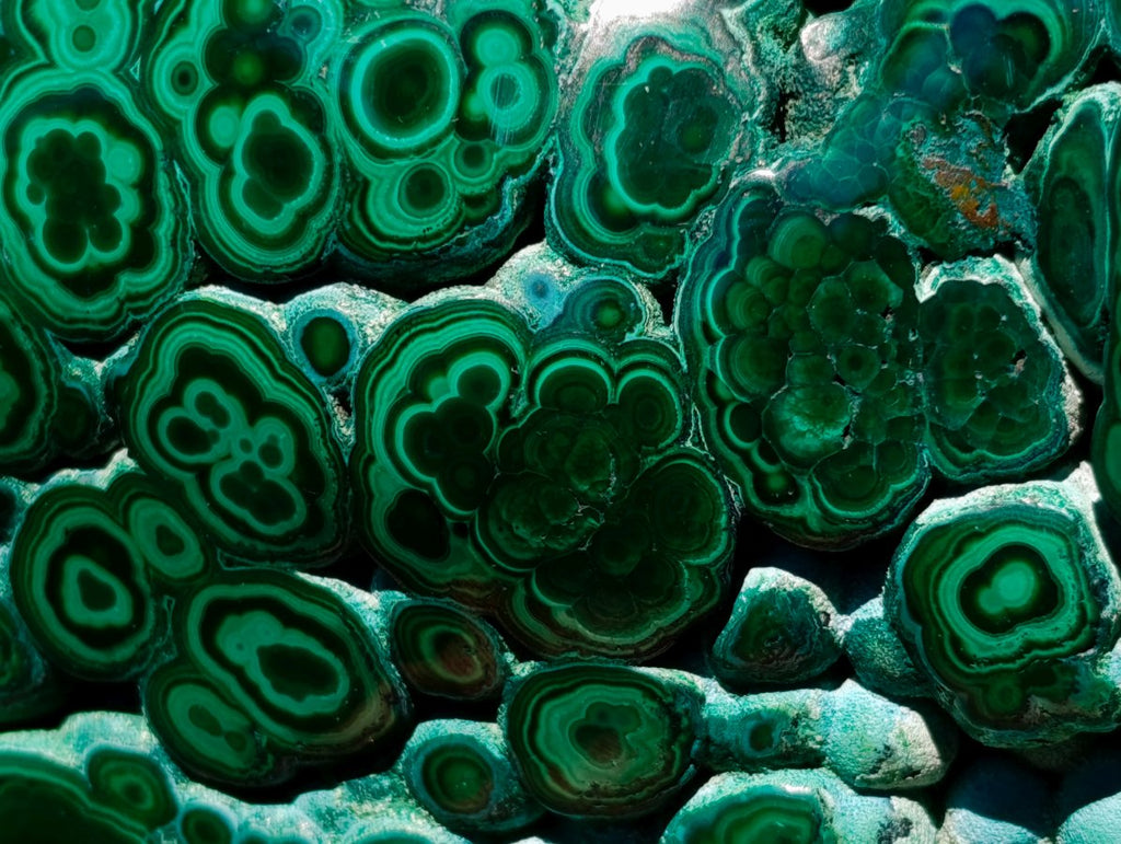 Polished Botryoidal Flower Banded Malachite Display Specimen x 1 From Kolwezi, Congo