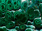 Polished Botryoidal Flower Banded Malachite Display Specimen x 1 From Kolwezi, Congo