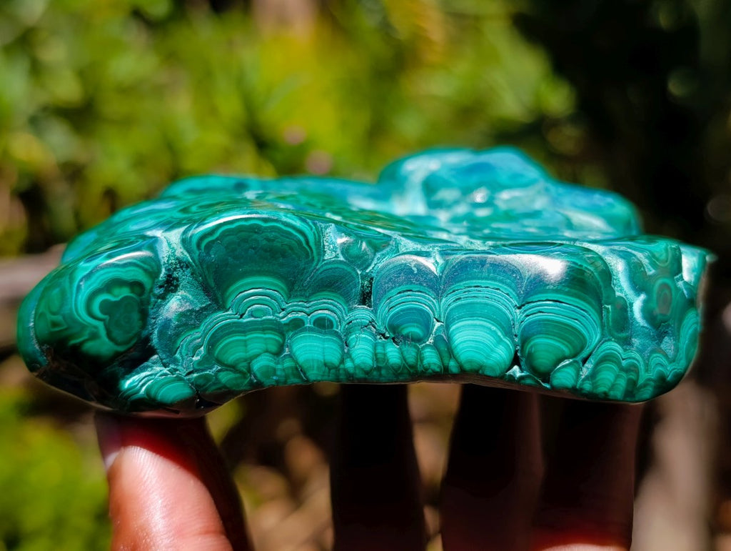Polished Botryoidal Flower Banded Malachite Display Specimen x 1 From Kolwezi, Congo