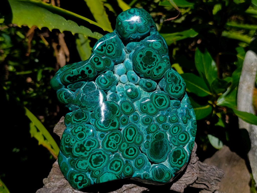 Polished Botryoidal Flower Banded Malachite Display Specimen x 1 From Kolwezi, Congo