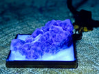 Hand Made Cubic Fluorite Necklace x 1 From Erongo, Namibia