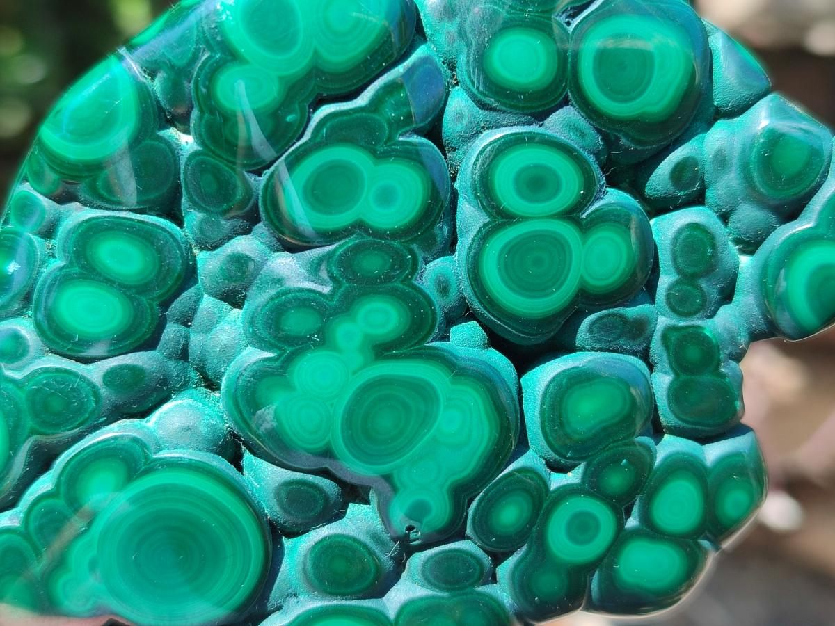 Polished Flower Banded Malachite Free Form x 1 From Congo