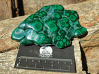 Polished Flower Banded Malachite Free Form x 1 From Congo