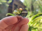 Polished Faceted 29.5 Carat Smokey Quartz Heart Stone x 1 From Madagascar