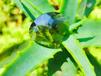 Polished Faceted 29.5 Carat Smokey Quartz Heart Stone x 1 From Madagascar