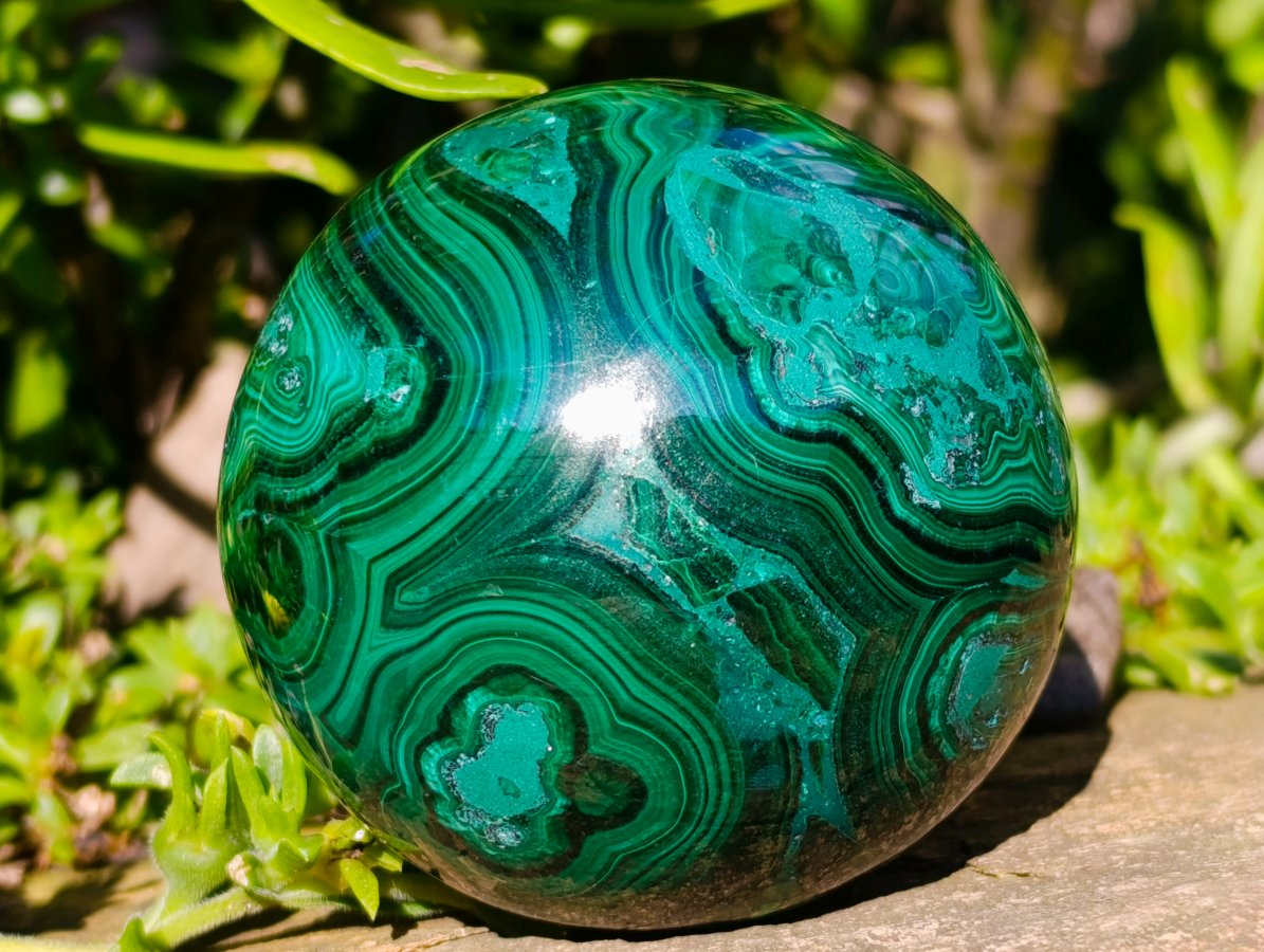 Polished Banded Flower Malachite Sphere x 1 From Congo