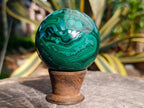 Polished Banded Flower Malachite Sphere x 1 From Congo