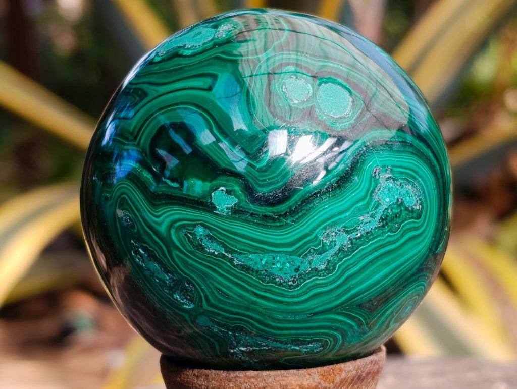 Polished Banded Flower Malachite Sphere x 1 From Congo