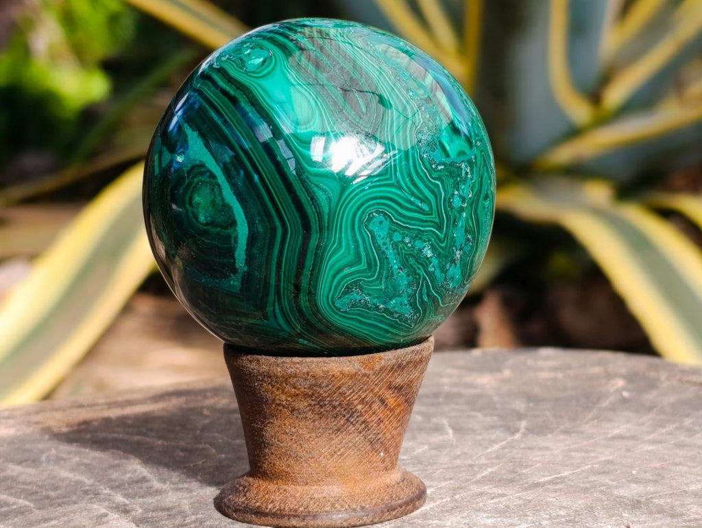 Polished Banded Flower Malachite Sphere x 1 From Congo