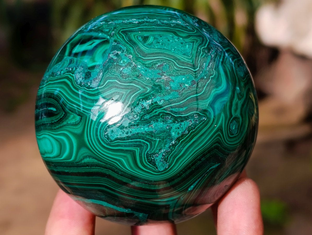 Polished Banded Flower Malachite Sphere x 1 From Congo